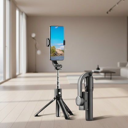 Zhiyun weebill s price