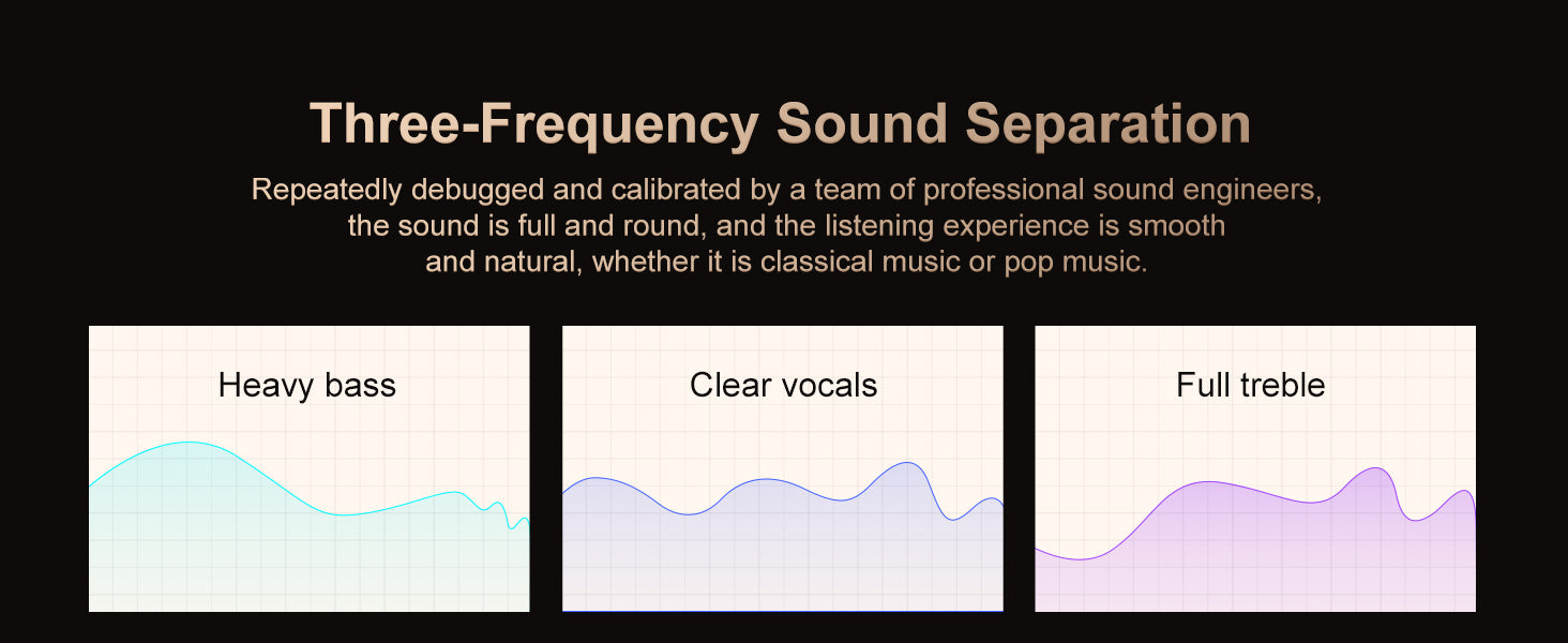 Portable lossless music player with wifi