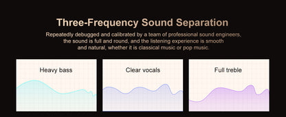 Portable lossless music player with wifi