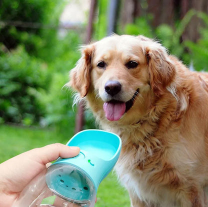 Dog standing next to a person holding a blue pet water bottle in an outdoor setting.