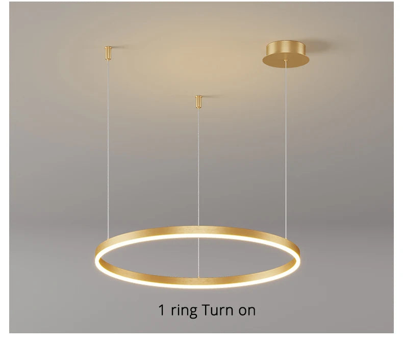 Modern led chandelier
