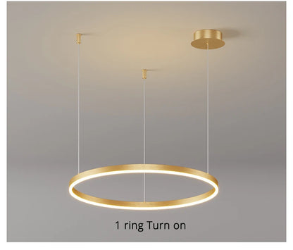 Modern led chandelier