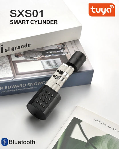 Smart door lock price