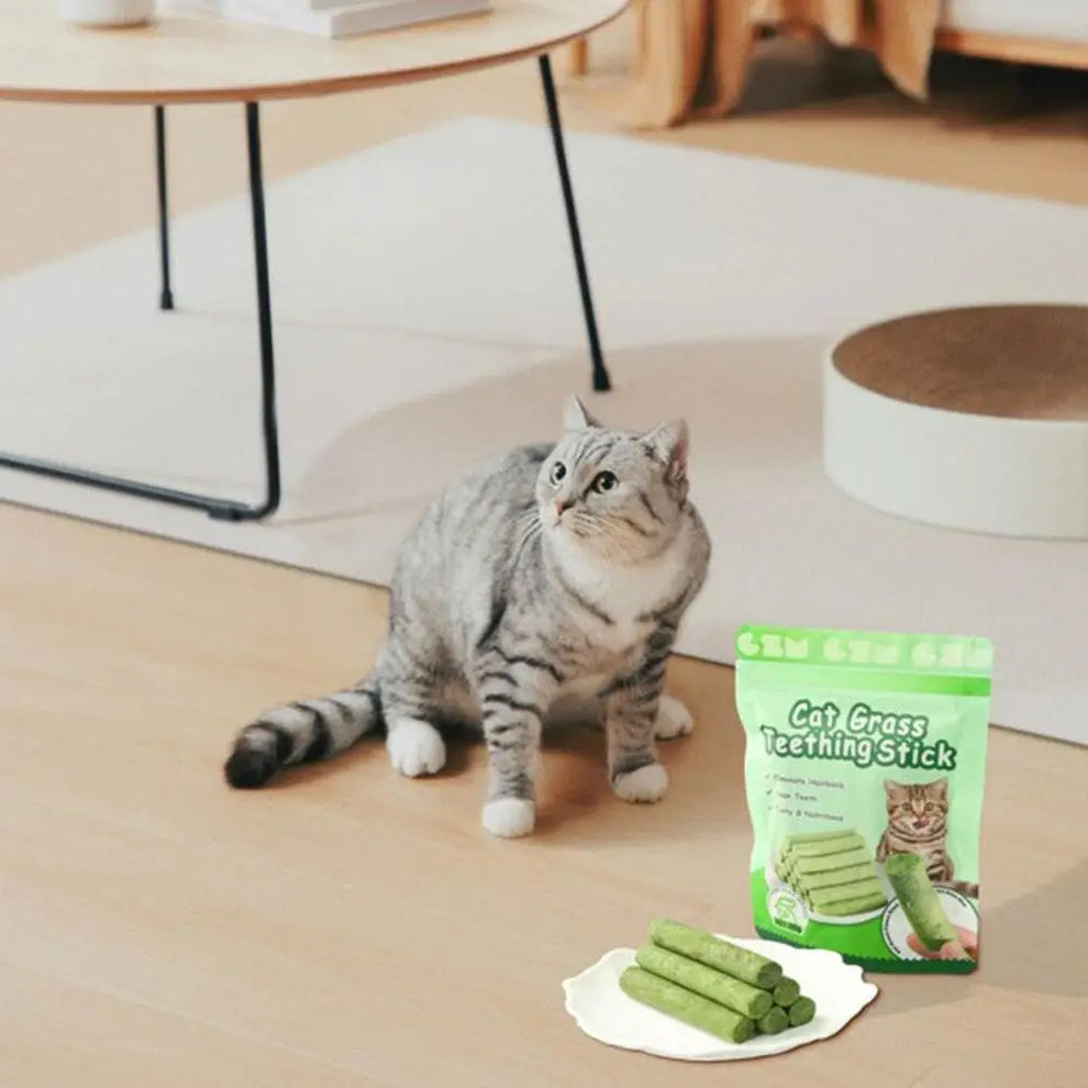 dental treats for cats - Pet Supplies - Cat Dental Chew Stick