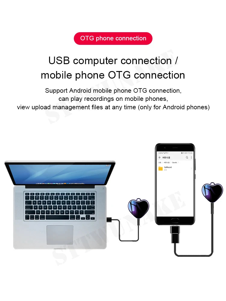 Professional audio recorder