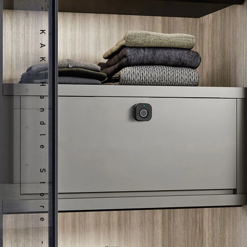 Electronic fingerprint door lock