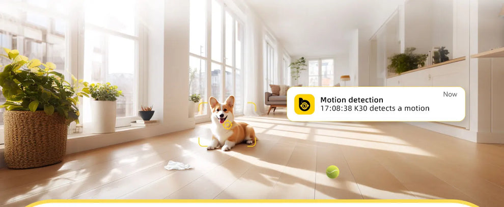 ai video analytics - Home Security - IP Camera