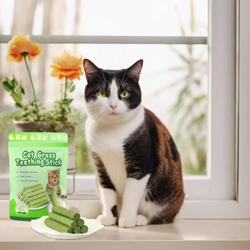Cat molars cleaning grass sticks