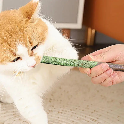 cat breath fresh grass - Pet Supplies - Cat Grass Sticks