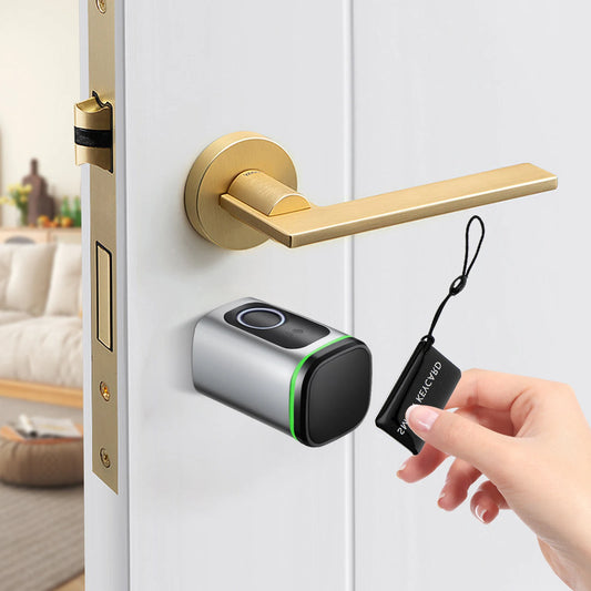 Fingerprint door lock