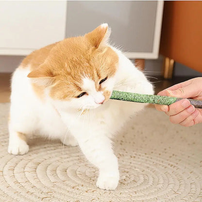 chicken cat grass sticks - Pet Supplies - Cat Grass Sticks