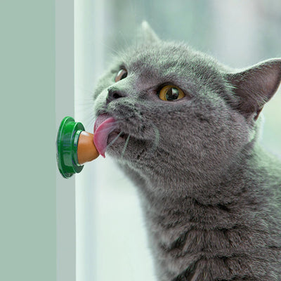 cat catnip licking candy - Pet Supplies - Cats - Treats - Catnip Licking Candy