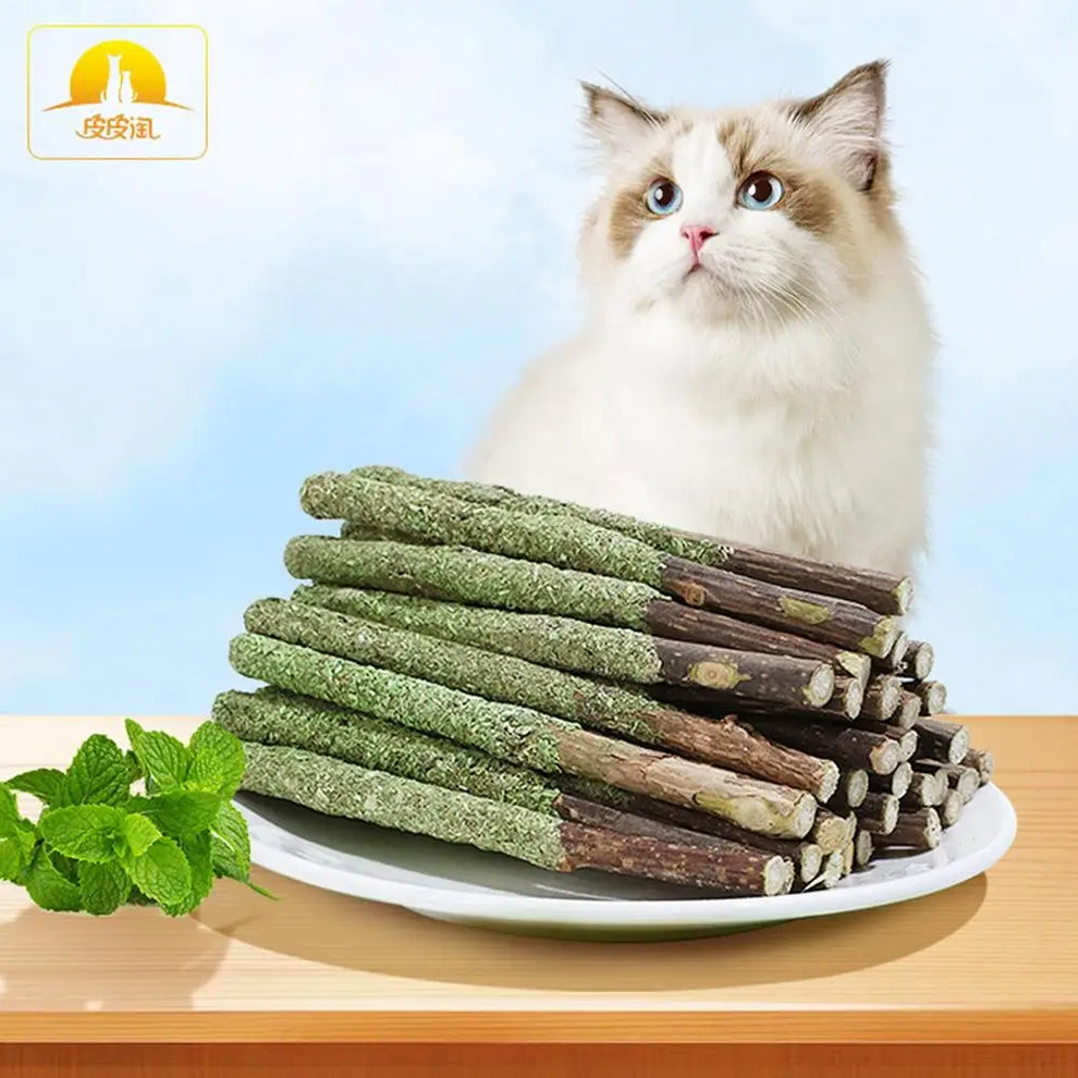 cat grass teething sticks - Pet Supplies - Cat Grass Sticks