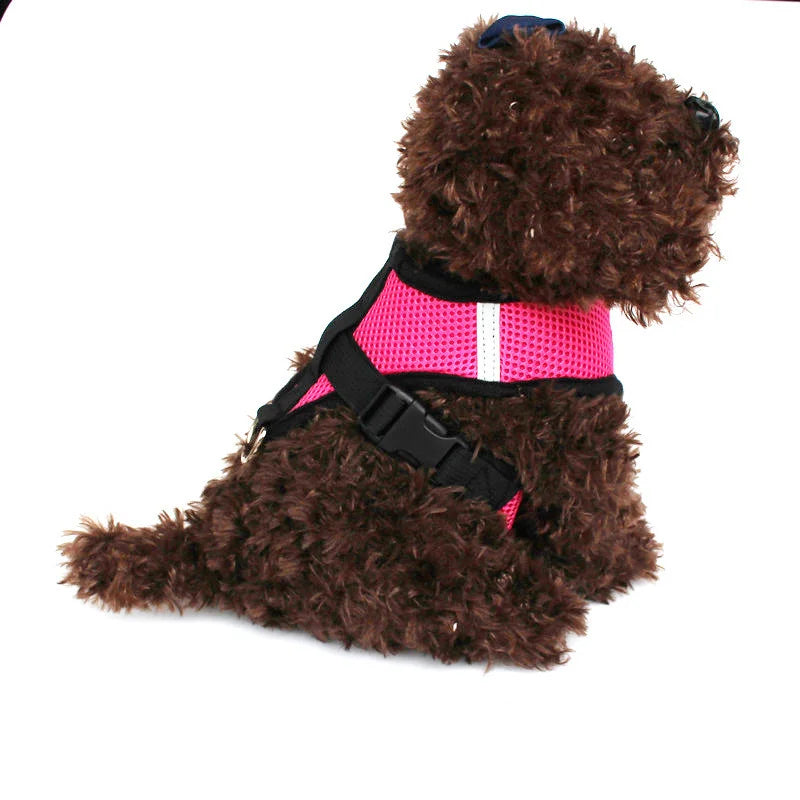 dog harness - Pet Supplies - Adjustable Cat and Dog Harness