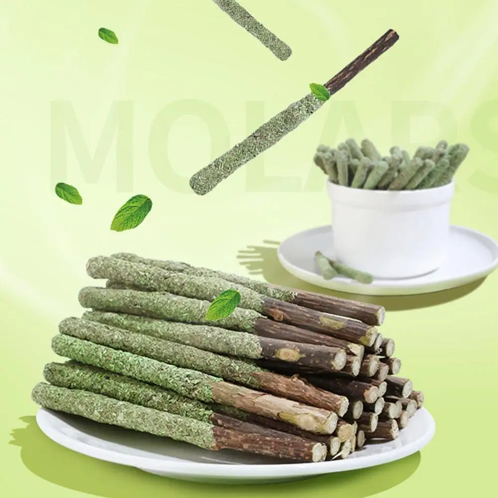 grain free cat teething - Pet Supplies - Cat Grass Sticks