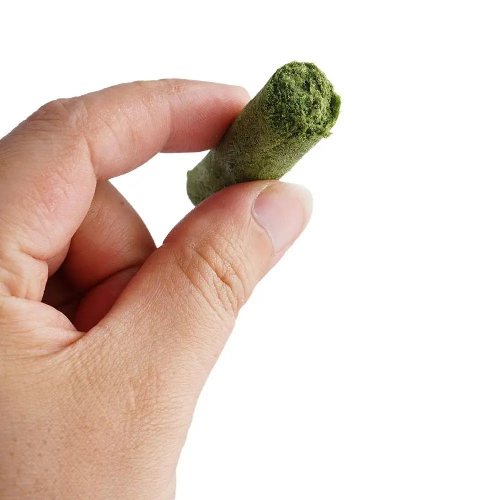 Buy cat grass teeth grinding stick online