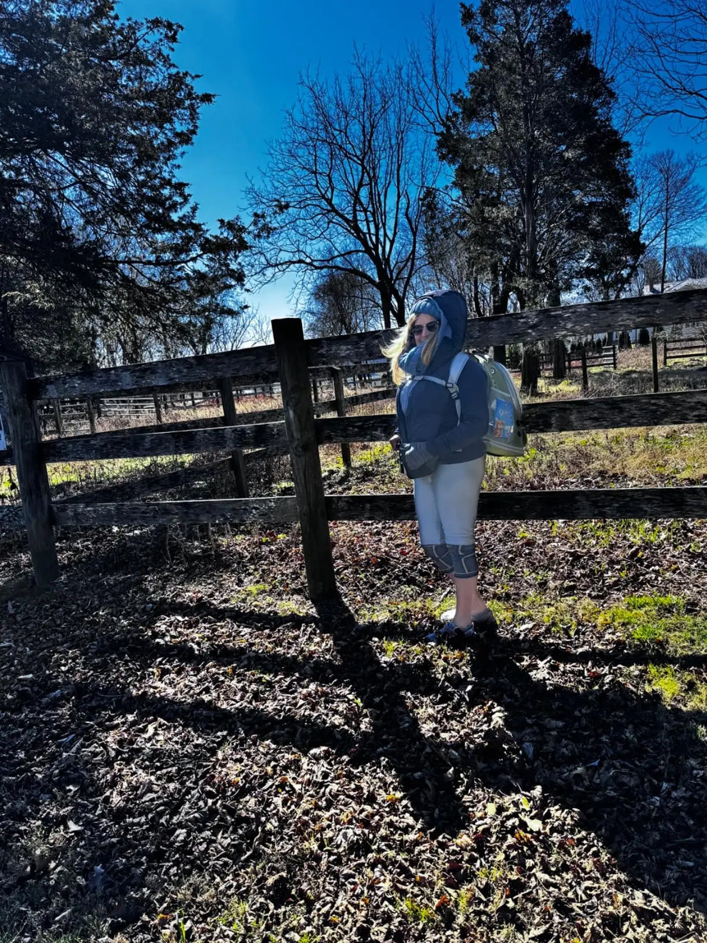 eurohike backpack - Pet Supplies - Transparent Folding Pet Carrier Backpack