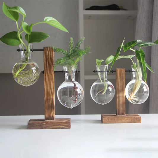 glass planter wooden stand - Home - Garden - Planters - Pots - Glass bulb tabletop planter with wooden stand