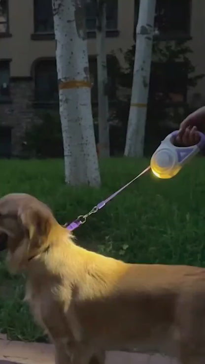 dog leash with LED spotlight